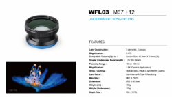 large WFL03PRO WEEFINE BALIDIVESHOP 4